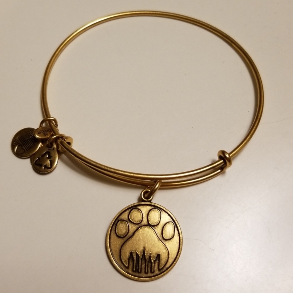 Alex and Ani Expandable Energy Bracelet Rafaelian